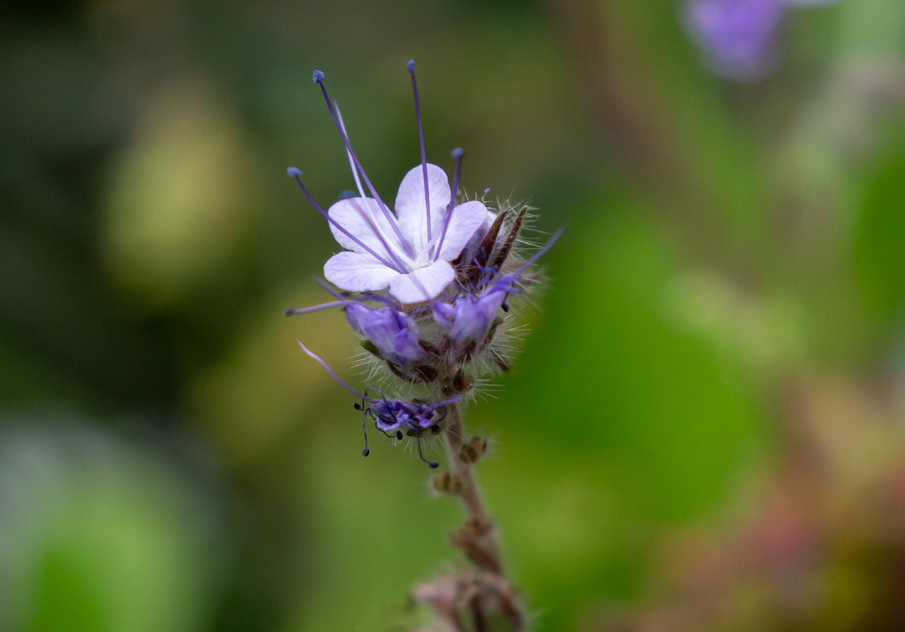 Test: Prostaction è davvero efficace per la salute della prostata?